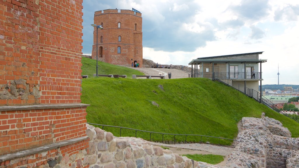 Higher showing a garden and heritage elements