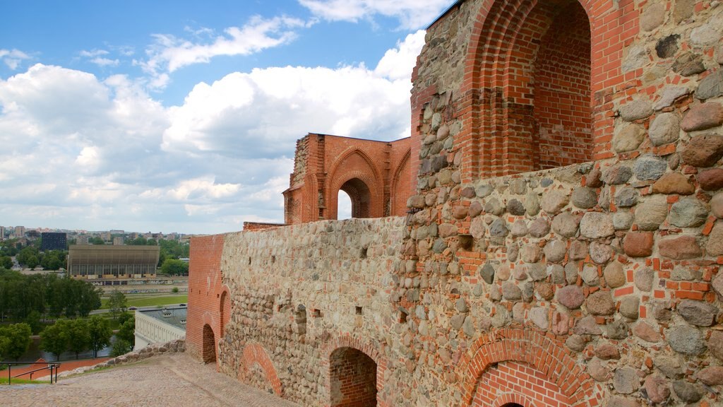 Upper Castle Museum showing heritage elements