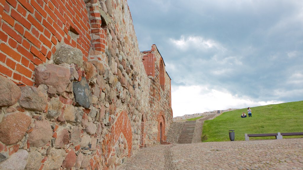 Higher showing a garden and heritage elements as well as a couple