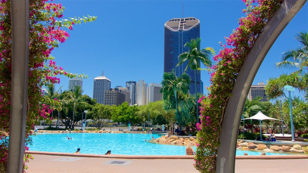 Southbank Parklands mostrando piscina, flores silvestres y un rascacielos