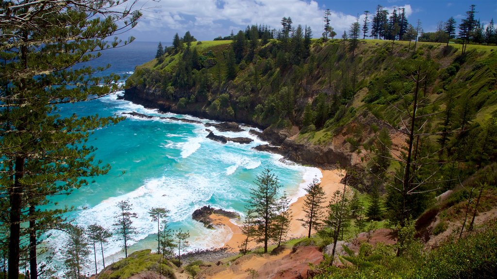 Anson Bay Beach showing rocky coastline, a beach and general coastal views