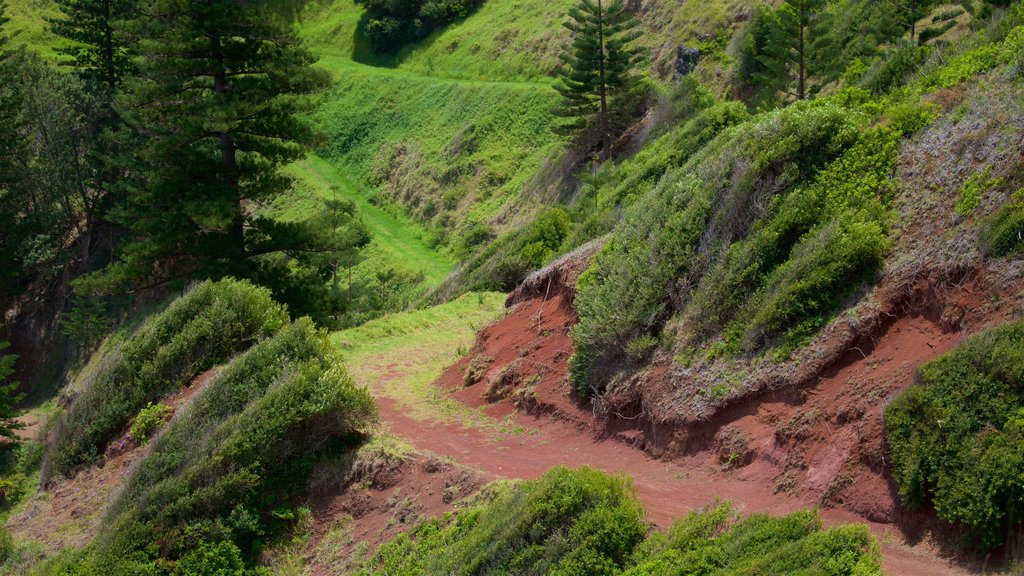 Anson Bay Beach presenterar stillsam natur