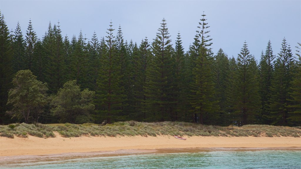 Emily Bay Beach which includes general coastal views and a beach