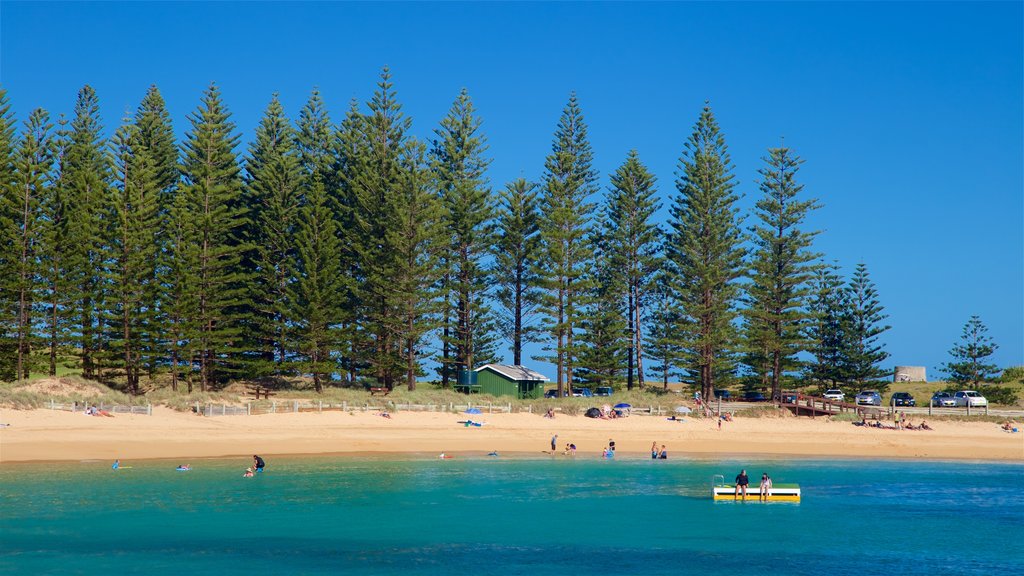 Emily Bay Beach que incluye vista general a la costa y una playa de arena