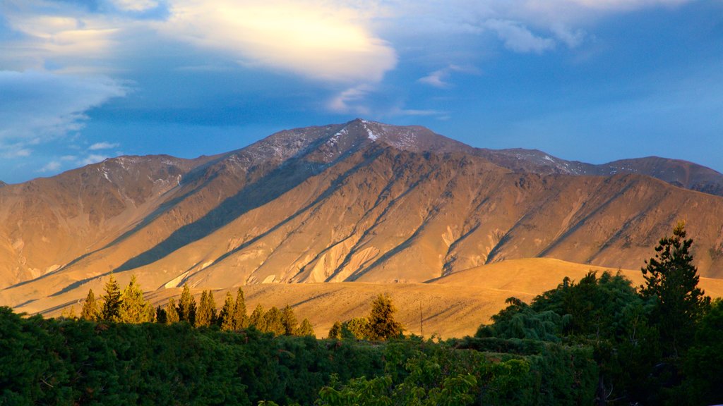 Canterbury which includes mountains and landscape views