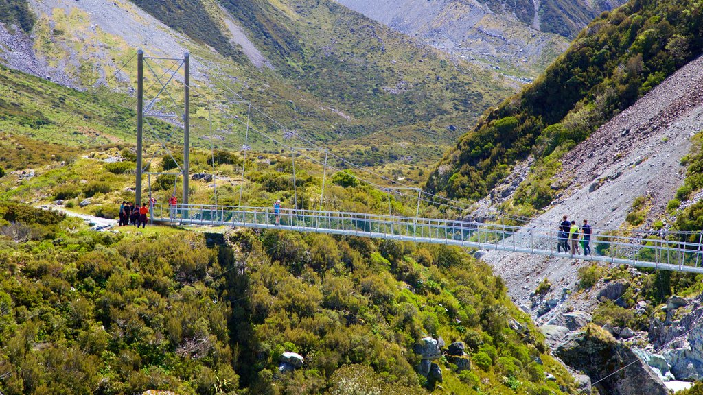 Mount Cook National Park featuring tranquil scenes and a bridge as well as a small group of people