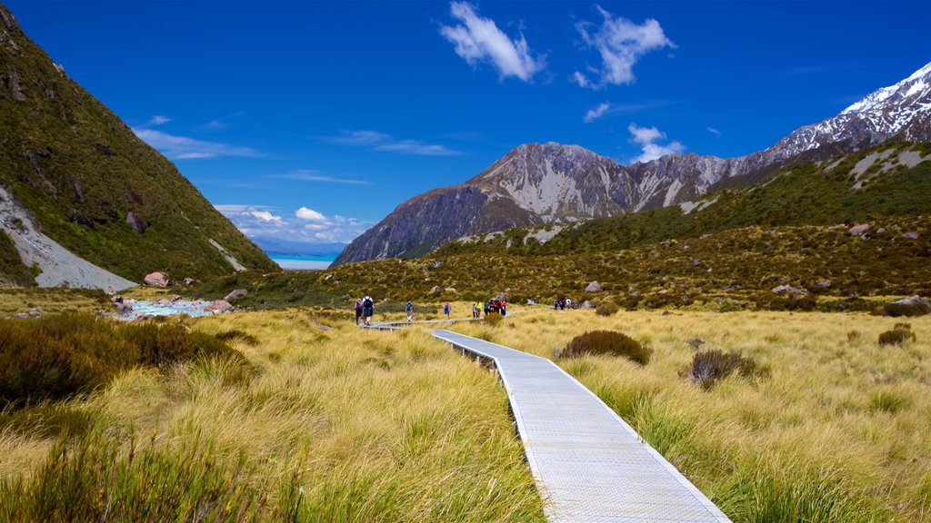 Mount Cook National Park which includes mountains and tranquil scenes as well as a small group of people