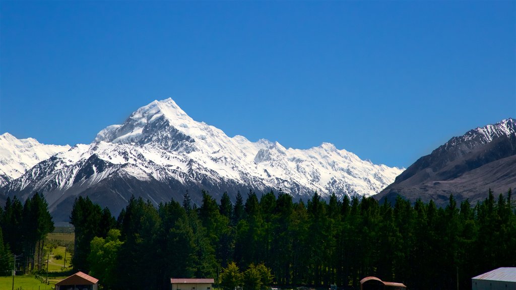 Mount Cook National Park which includes mountains and snow