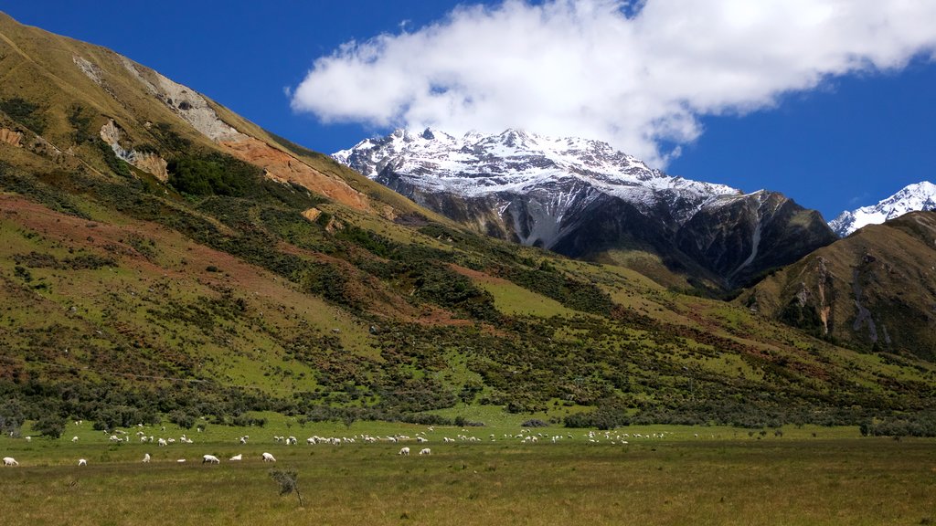 Parque Nacional Mount Cook mostrando escenas tranquilas y montañas