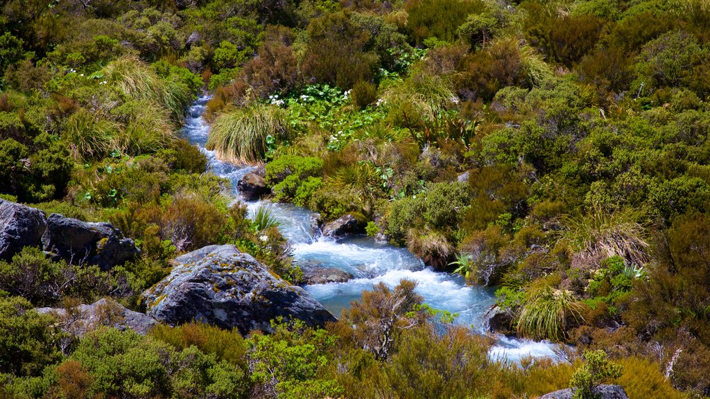 Parc national de Mount Cook qui includes paysages paisibles et une rivière ou un ruisseau