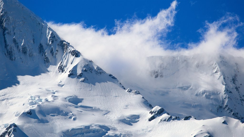 Mount Cook National Park showing mist or fog, snow and mountains