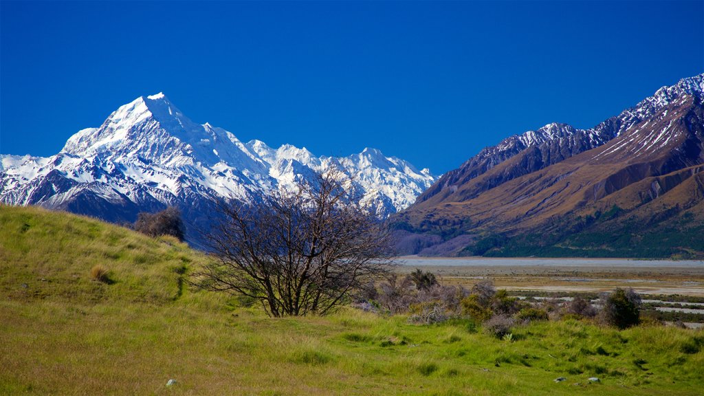 Parque Nacional Monte Cook mostrando paisagem, montanhas e neve