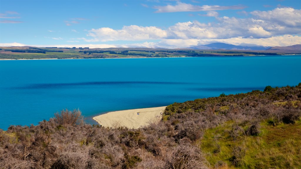 Parc national de Mount Cook mettant en vedette un lac ou un point d’eau, paysages et paysages paisibles