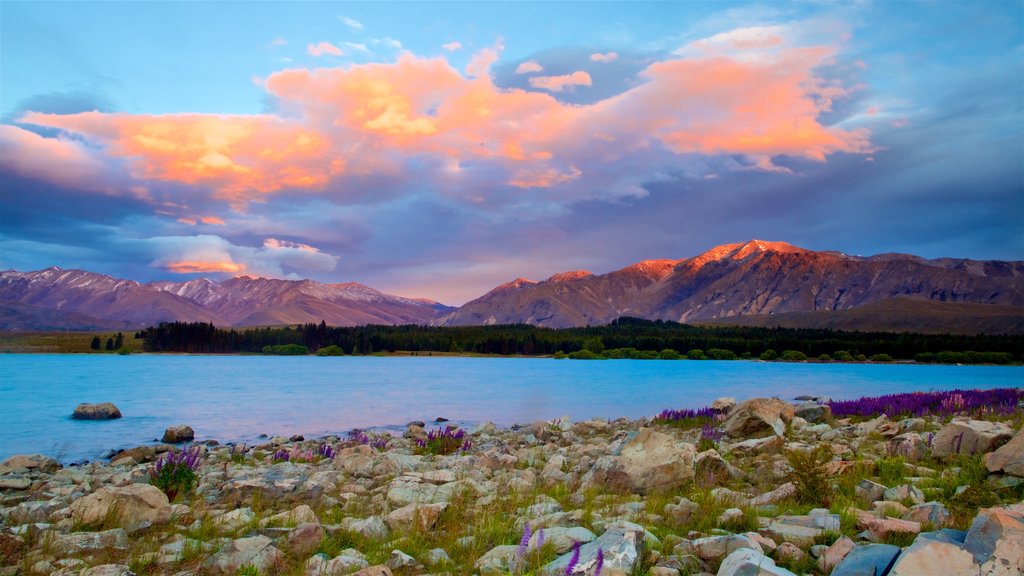 Lake Tekapo which includes a sunset, a lake or waterhole and mountains