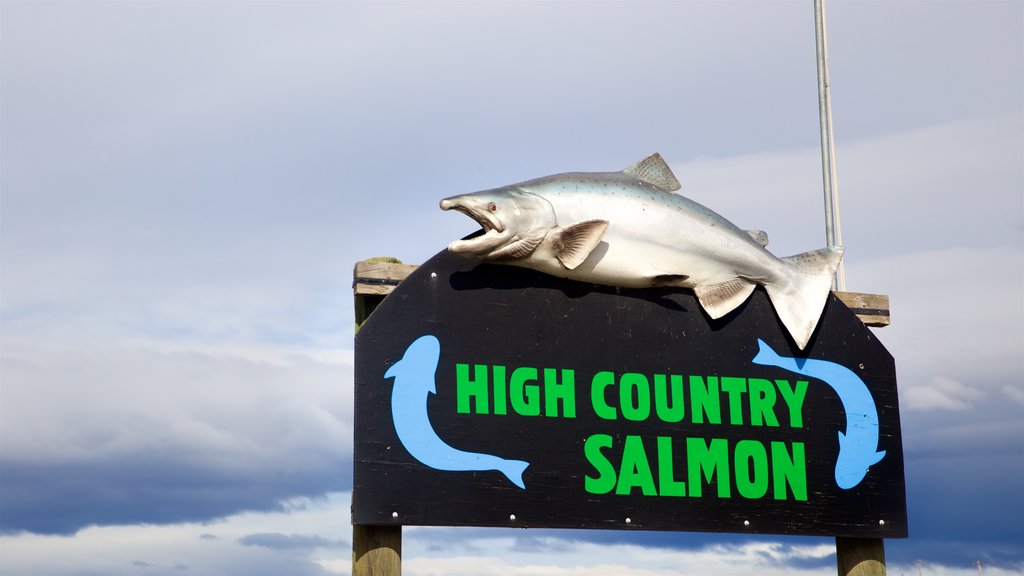 Twizel showing signage