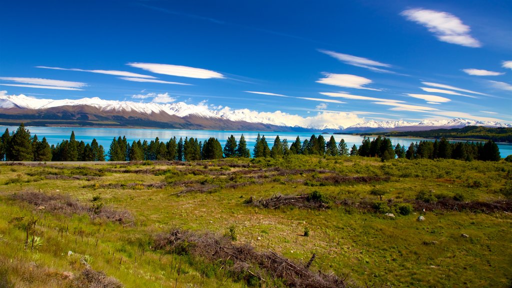 Lake Pukaki which includes tranquil scenes and a lake or waterhole