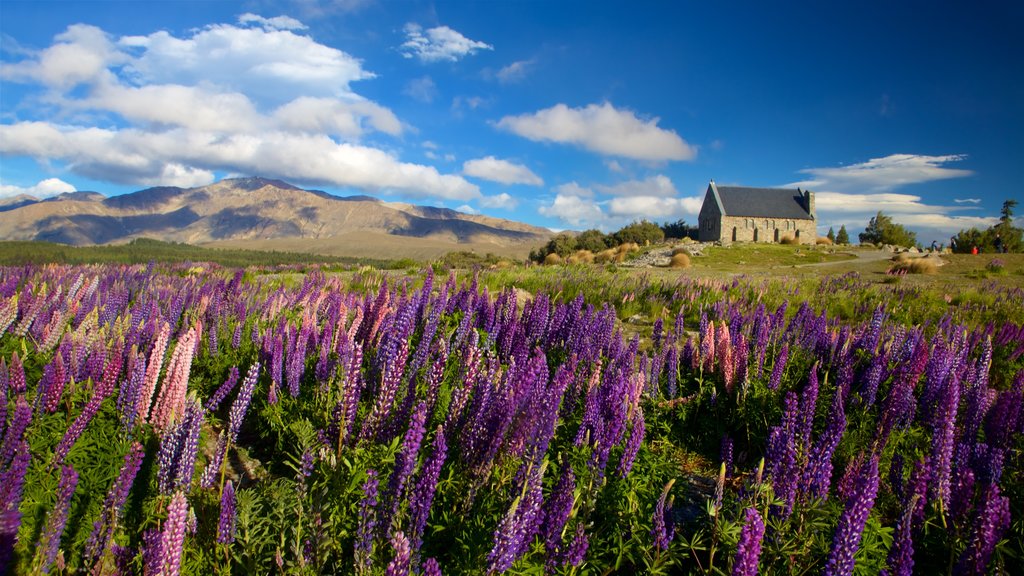 Church of the Good Shepherd ofreciendo escenas tranquilas y flores silvestres