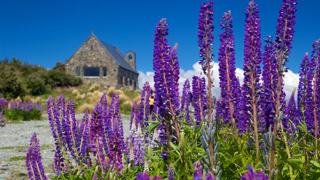 Church of the Good Shepherd showing wildflowers and a church or cathedral