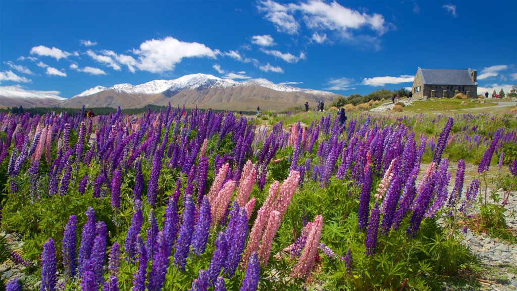 Church of the Good Shepherd toont wilde bloemen en vredige uitzichten