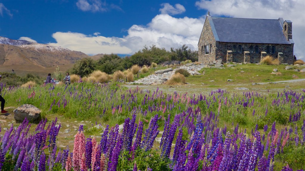 Church of the Good Shepherd que inclui uma igreja ou catedral, flores silvestres e cenas tranquilas