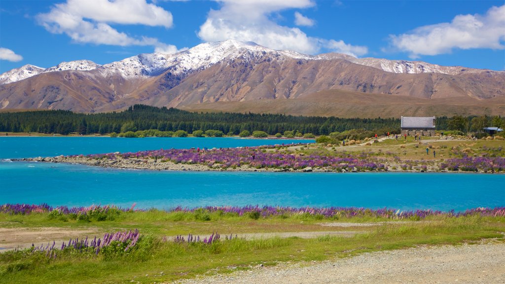 Church of the Good Shepherd which includes a lake or waterhole, tranquil scenes and mountains