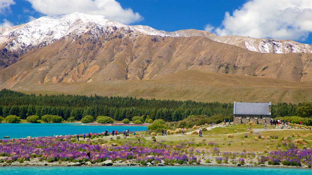 Church of the Good Shepherd ofreciendo un lago o espejo de agua, escenas tranquilas y montañas