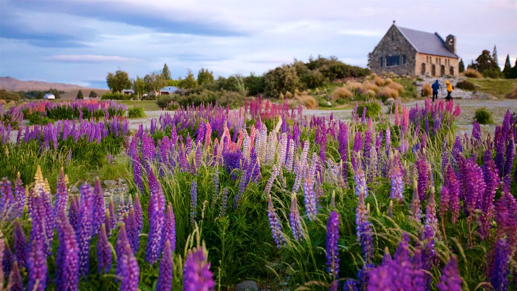 Church of the Good Shepherd que inclui cenas tranquilas e flores silvestres