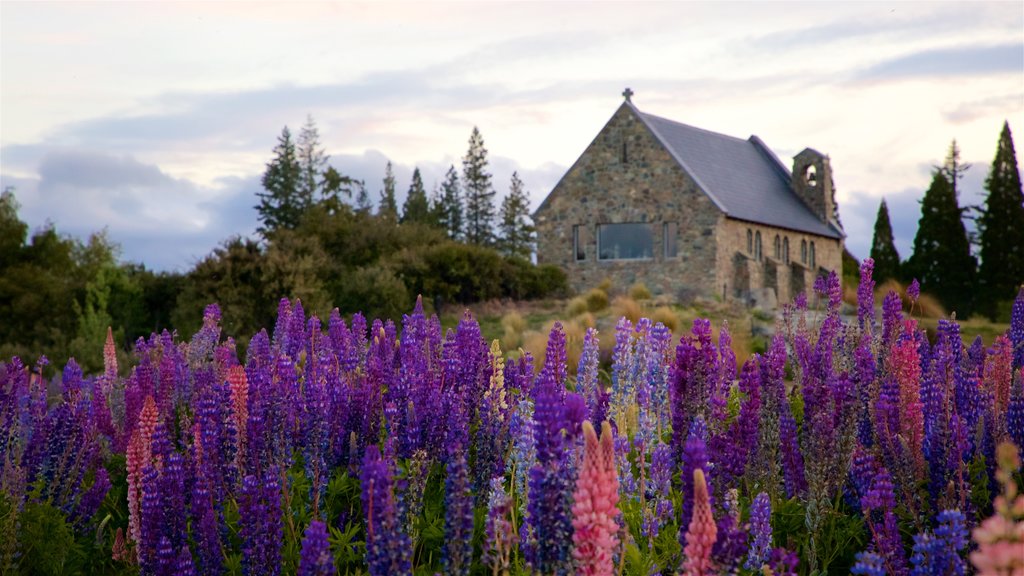 Church of the Good Shepherd toont historisch erfgoed, een kerk of kathedraal en wilde bloemen