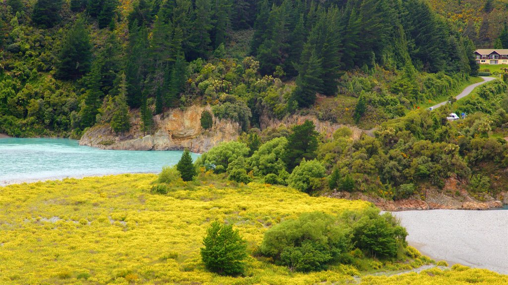 Rakaia Gorge som omfatter fredfyldte omgivelser og en sø eller et vandhul