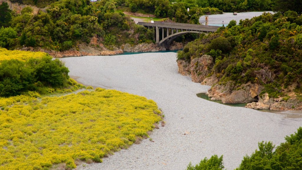 Rakaia Gorge featuring a bridge, a river or creek and tranquil scenes