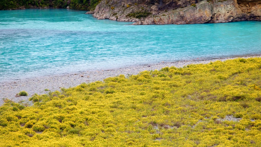 Rakaia Gorge ofreciendo un lago o espejo de agua