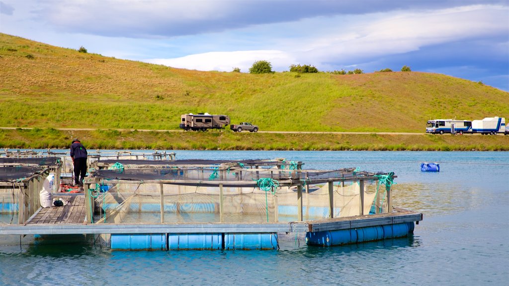 Twizel featuring tranquil scenes and a river or creek