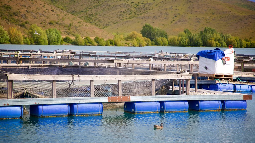 Twizel que incluye un río o arroyo