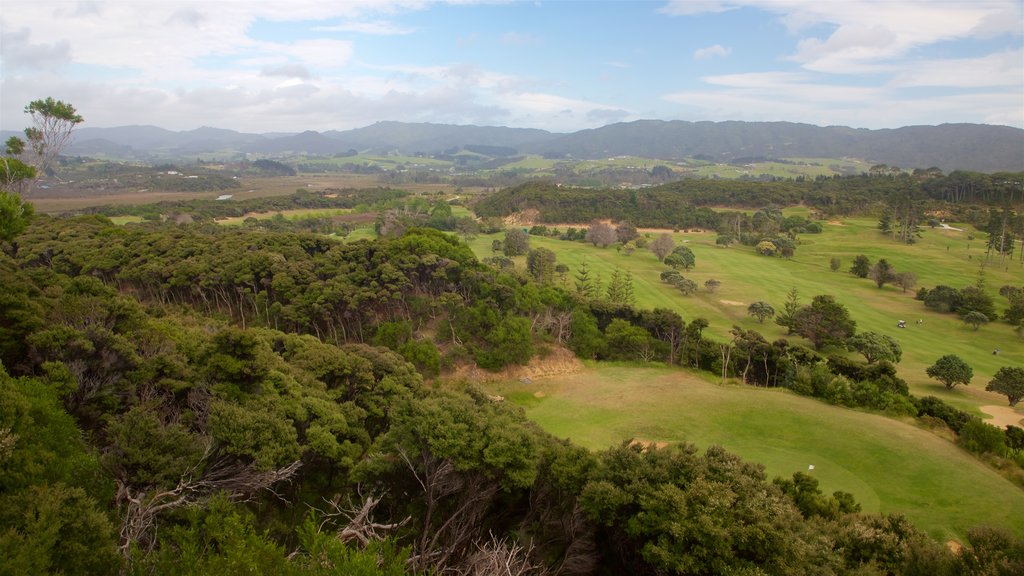 Mangawhai Heads que inclui cenas tranquilas e paisagem