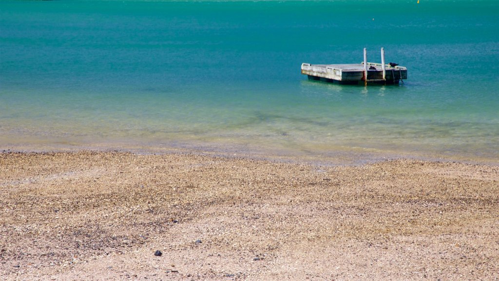 Waikato which includes general coastal views and a pebble beach