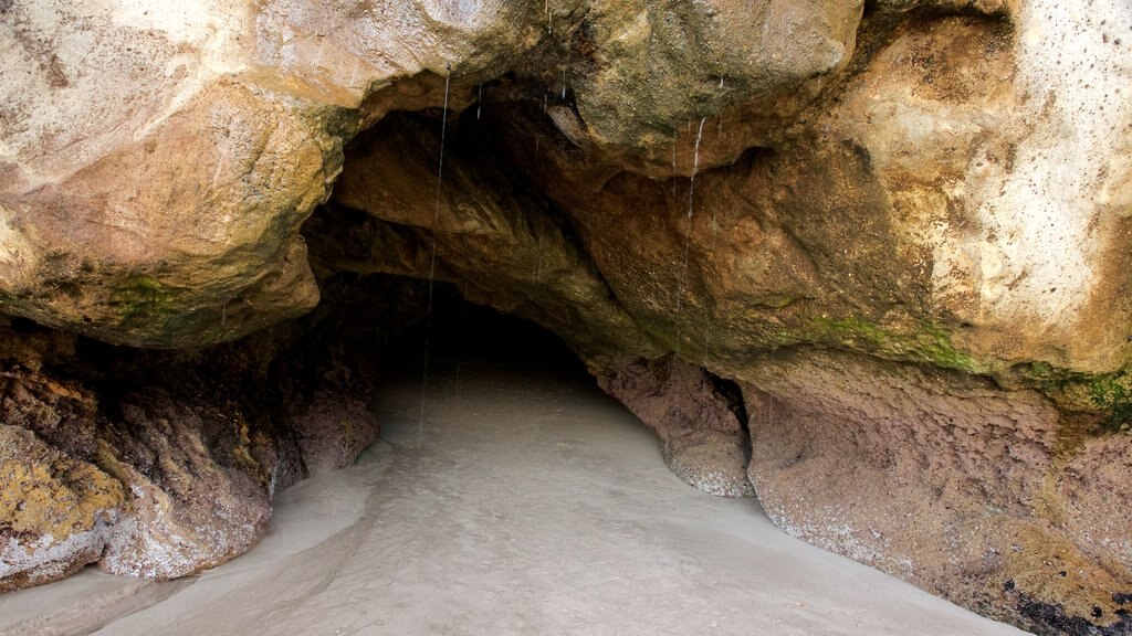 Cathedral Cove Beach showing caves