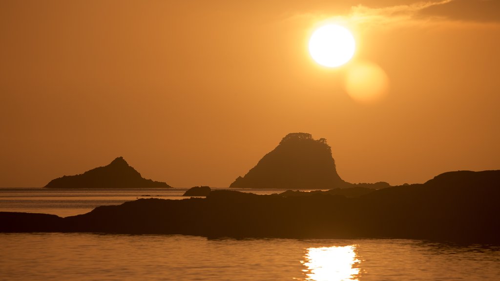 Cathedral Cove Beach showing a sunset, general coastal views and rocky coastline