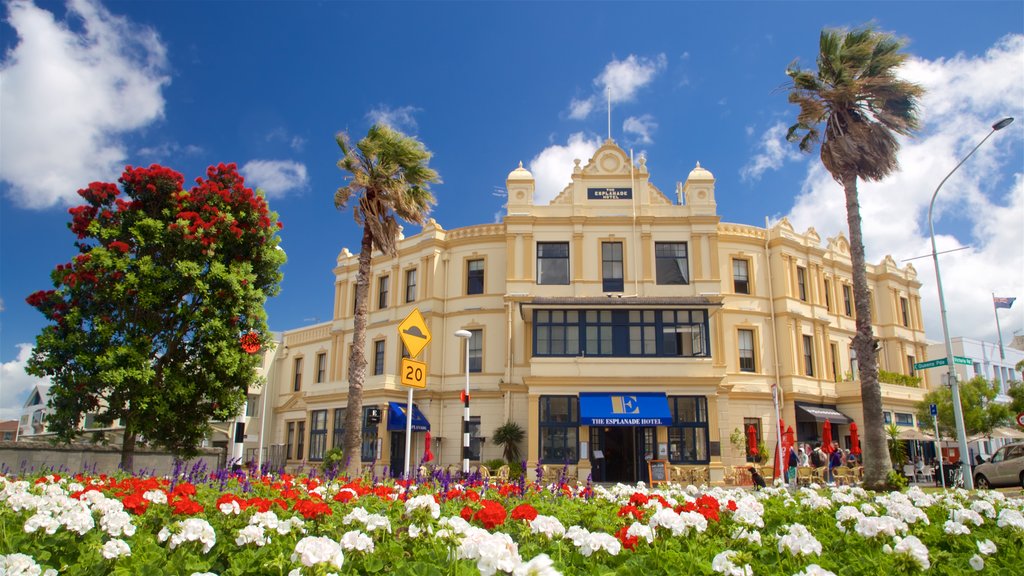 Devonport bevat een park en bloemen