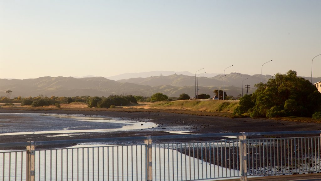 Napier which includes a bay or harbour and tranquil scenes