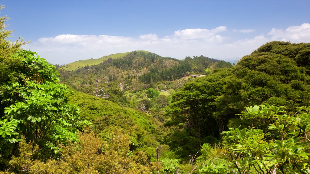 Ferrocarril Driving Creek Railway que incluye vistas de paisajes y escenas tranquilas