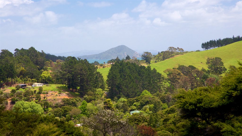 Driving Creek Railway which includes tranquil scenes and landscape views