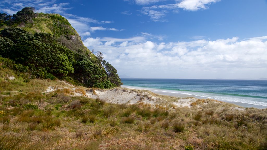 Mangawhai Heads Beach que inclui uma praia de areia e paisagens litorâneas