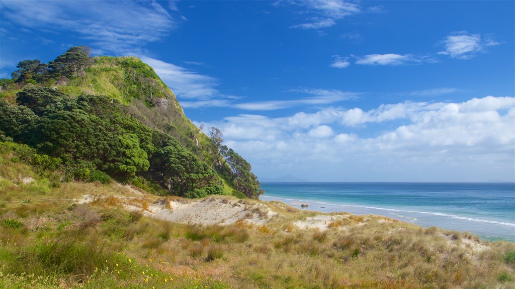 Mangawhai Heads Beach que incluye una playa de arena y vista general a la costa