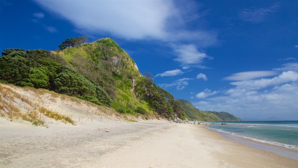 Mangawhai Heads Beach que incluye vistas generales de la costa y una playa