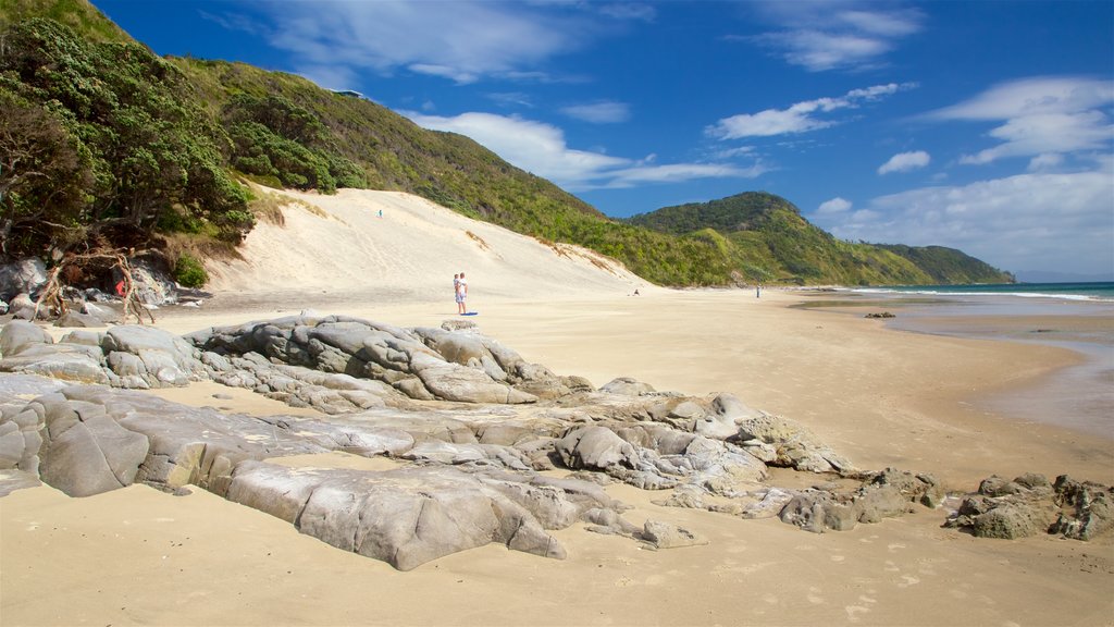 Mangawhai Heads Beach que inclui uma praia de areia e paisagens litorâneas