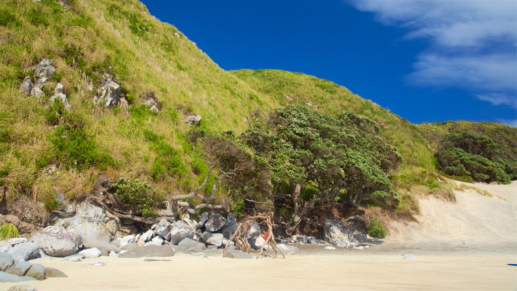 Mangawhai Heads Beach ofreciendo una playa y vista general a la costa