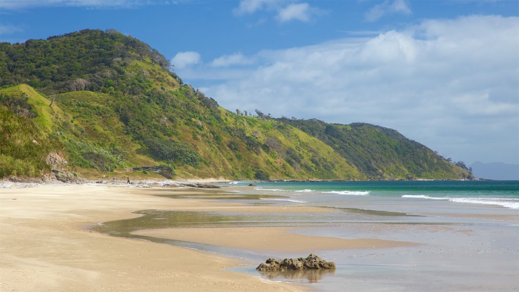 Mangawhai Heads Beach ofreciendo vistas generales de la costa, escenas tranquilas y una playa de arena