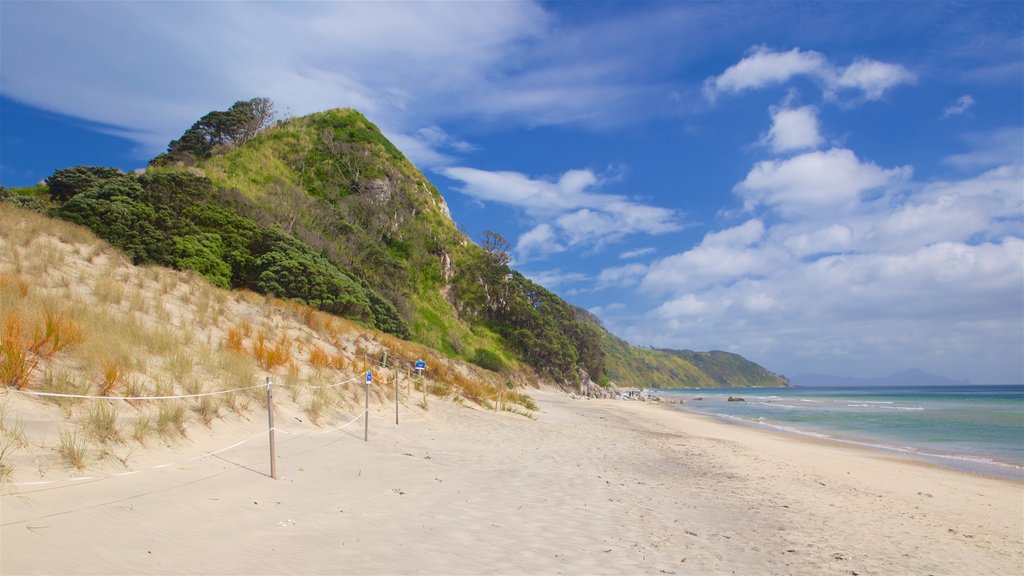 Mangawhai Heads Beach featuring a beach and general coastal views