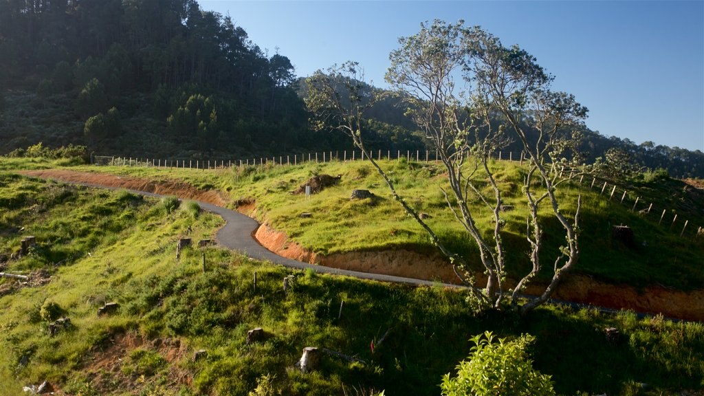 Whitianga som omfatter fredfyldte omgivelser