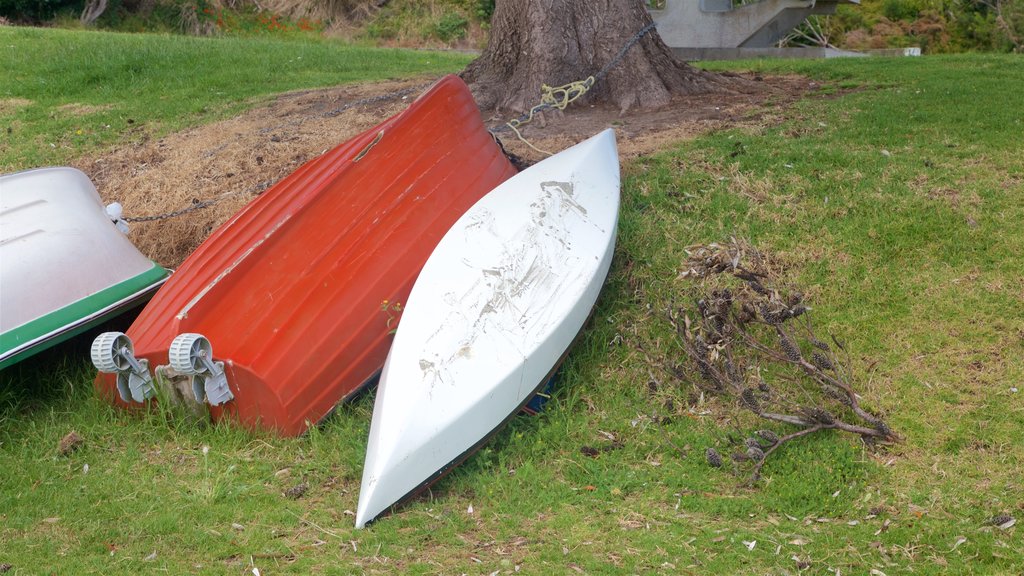 Mangawhai Heads showing a garden